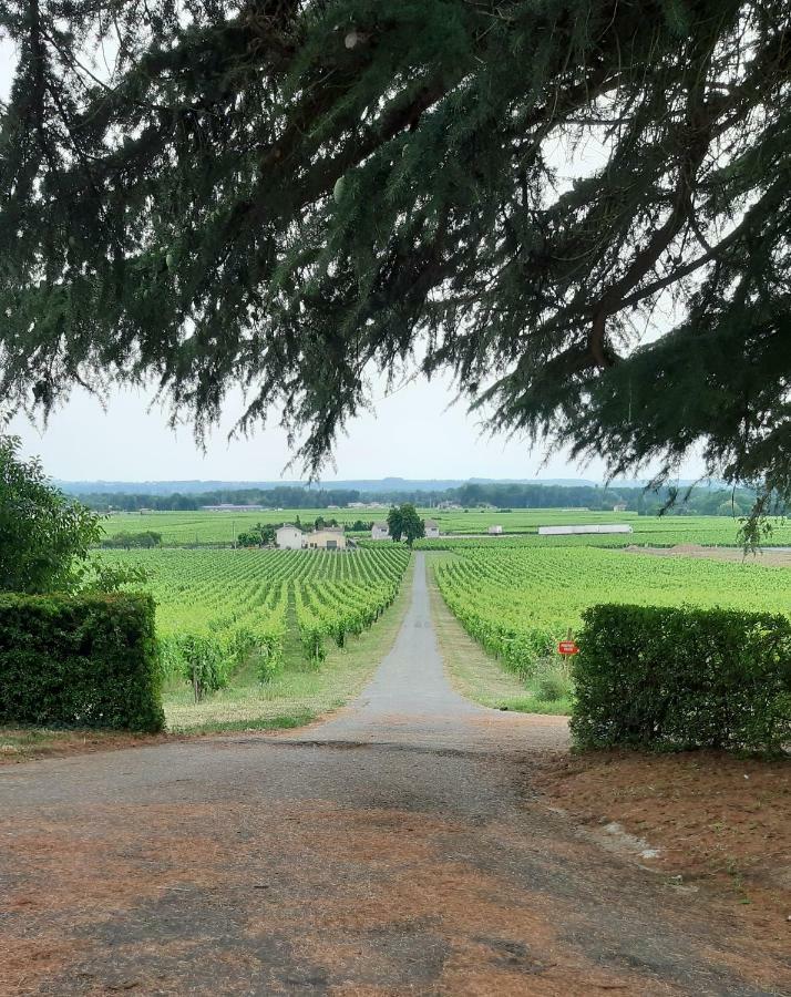 A L'Ombre De La Treille -Proche Saint-Emilion Bed & Breakfast Bagian luar foto